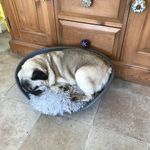 Cherry Bailey - @cherryandchaos1234 - Instagram