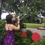 Cherry Cheung - @cherrycheung1130 - Instagram