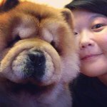 Cherry Chow - @cherry_chow_chow - Instagram