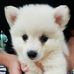 Cherry Chow - Facebook