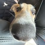 Luna Cherry Collins - @lunacherrycollins - Instagram