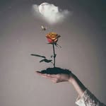 C - @cherry_coxmad - Instagram