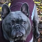 Cherry Davidson - Facebook