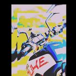 Cherry Duke 390 - @cherry_duke_390 - Instagram