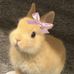 Cherry Stuart - Facebook