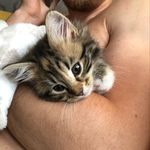 Cherry Watson-Carpenter - @ourbabycherry - Instagram