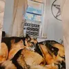 Cheryl Gutierrez - @cheryl.gutierrez1 - TikTok