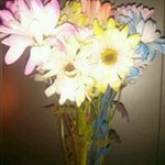 Cheryl Pierce - @cheryl.pierce.758 - Instagram