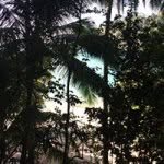 Cheryl Abernathy - @cherylma33 - Instagram