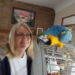 Cheryl Adamson Savello - @cheryladamsonsavello - Instagram