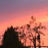 Avani_Cheryl_ - @addison_cheryl_ - TikTok