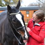 Cheryl Addison - @hopedreamsandhorses - Instagram