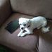 Cheryl Adkins - Facebook