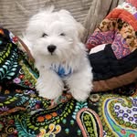 Cheryl A Alderman - @cheryl.alderman - Instagram