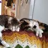 cherylhalderman - @cheryl.halderman - TikTok