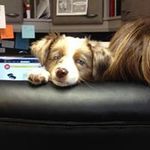 Cheryl Alvarez Herny - @cheryl_ah2.5 - Instagram