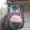 Cheryl - @cherylhames1 - TikTok