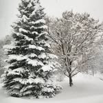 Cheryl Lynn Cooper-Ansell - @cherilynn65 - Instagram