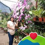 Cheryl B. Antonio - @cheryl.b.antonio - Instagram