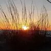 cherylaugustinemc - @cherylaugustinemc - TikTok
