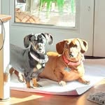 Cheryl Baird - @cb_livingwithpain - Instagram