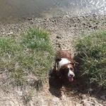 Cheryl Baird - @cheryl.baird.14268 - Instagram