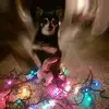 Cheryl Baird - @cherylbaird6 - TikTok