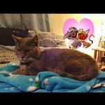 Cheryl Baird Knowles - @bairdknowles - Instagram
