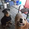 cherylbaird68 - @cherylbaird68 - TikTok