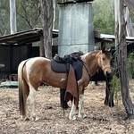 Cheryl Balcomb - @cherylbalcomb - Instagram