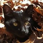 Cheryl Bales Gramer - @cherylgramer - Instagram