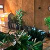 Cheryl Barnard - @cheryl.barnard4 - TikTok