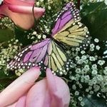 Cheryl Barry - @cheryl.barry - Instagram