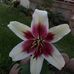 Cheryl Barry - Facebook
