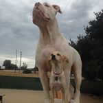 Cheryl Barry - @cbarry10131 - Instagram
