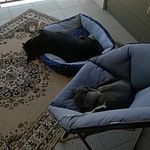 Cheryl Barry - @cherylbarry48 - Instagram