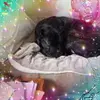 cherylbarry760 - @cherylbarry760 - TikTok