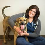Cheryl Bartels - @cherylcvt - Instagram