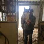 Cheryl Bauer - @cherylbauer106 - Instagram
