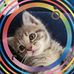 Cheryl Bauer - Facebook
