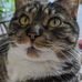 Cheryl Bauer - Facebook