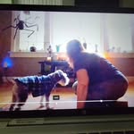 Cheryl Panda Bauer - @cherylbaueryoga - Instagram