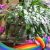 Cheryl Baugh - Facebook