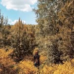 Cheryl Baugh - @baugh6385 - Instagram