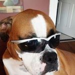 Cheryl Baughman - @cbaughman017 - Instagram