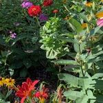 Cheryl Baughman Souder - @cbsouder - Instagram