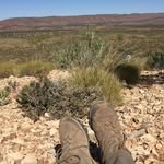 Cheryl Beatty - @chezbeat - Instagram