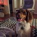 Cheryl Beatty - Facebook