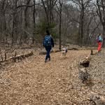 Cheryl Beatty Duke - @cherylduke_ - Instagram