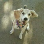 Cheryl Becker - @azbrcheryl - Instagram